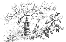 Cherry Blossom Garden, Macon, GA